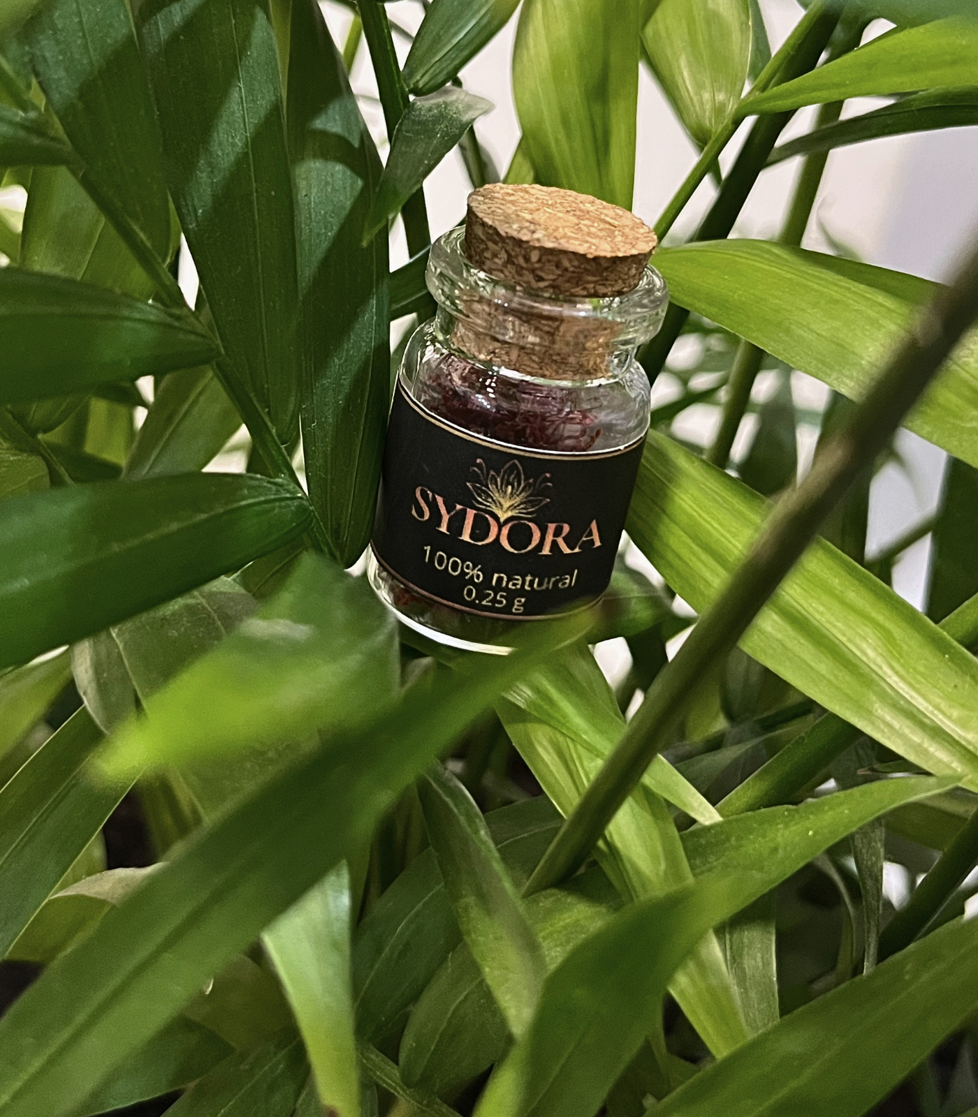 Premium Living Sydora
